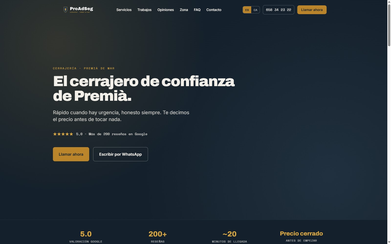 ProAdSeg — Vista previa de la web